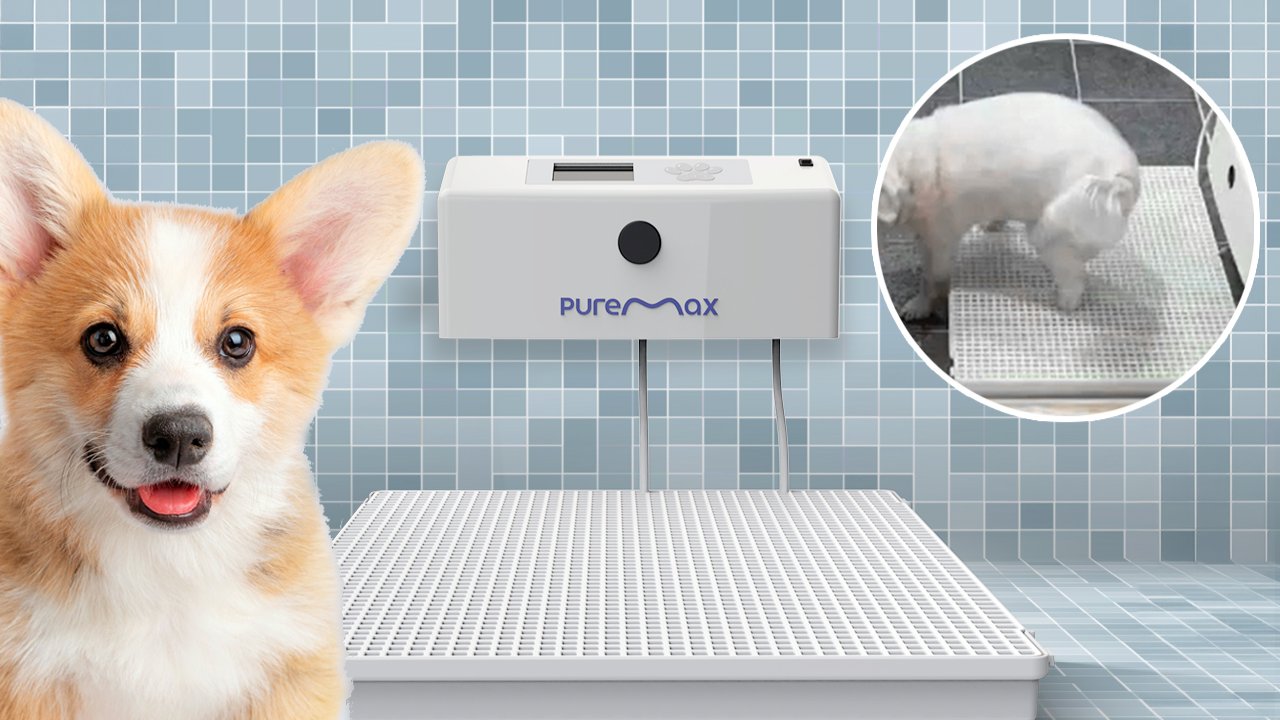 물로 깨끗하게 청소하는 똑똑한 배변판