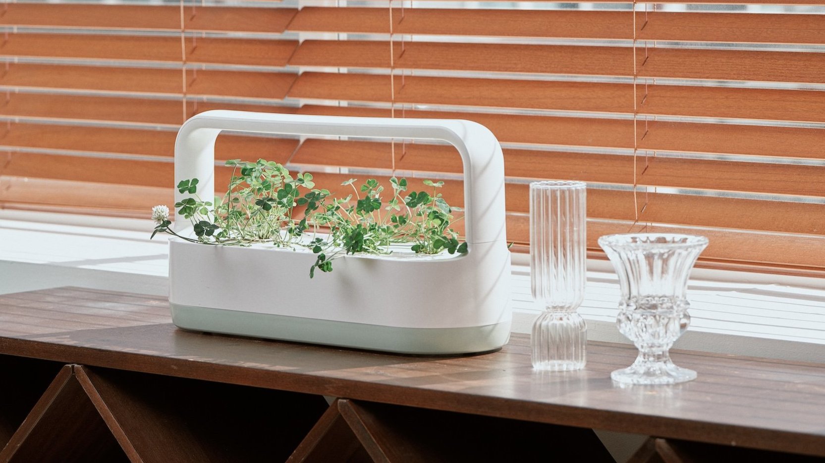 [단독구성 LG 틔운 미니] 원하는 식물만 고르면 쑥쑥 키워드릴게요