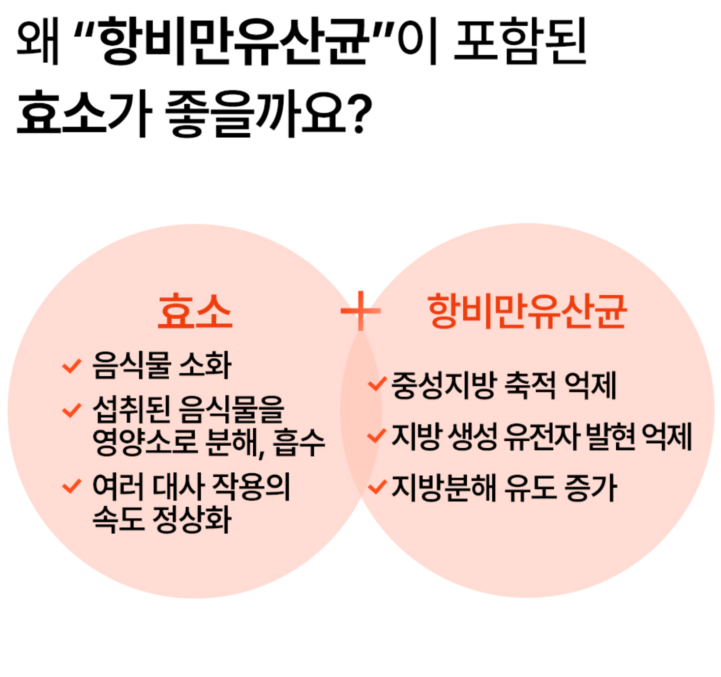 스크린샷 2025-03-23 오후 8.26.25.png