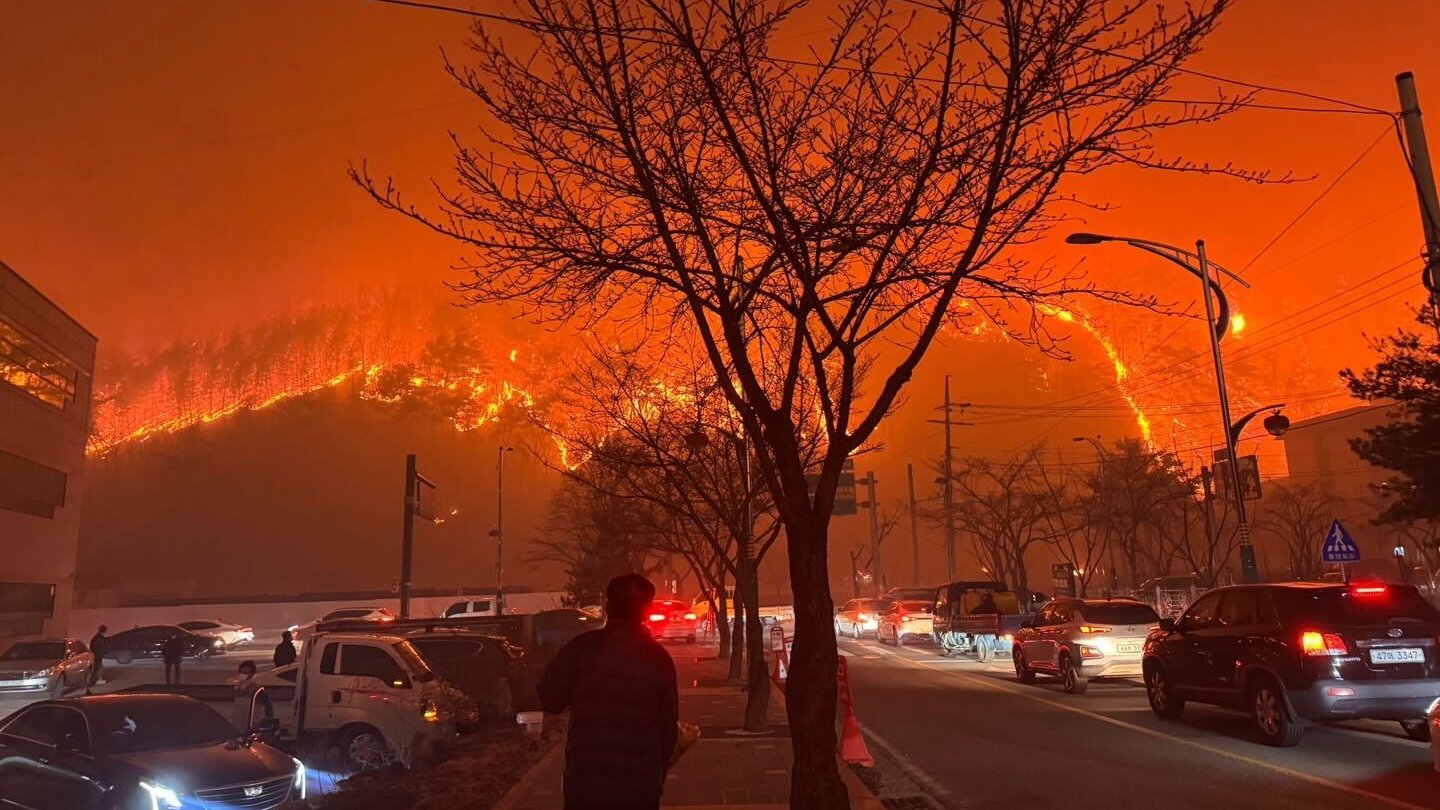 [긴급구호펀딩] 국가 재난 사태 '경상권 산불' 구호 펀딩