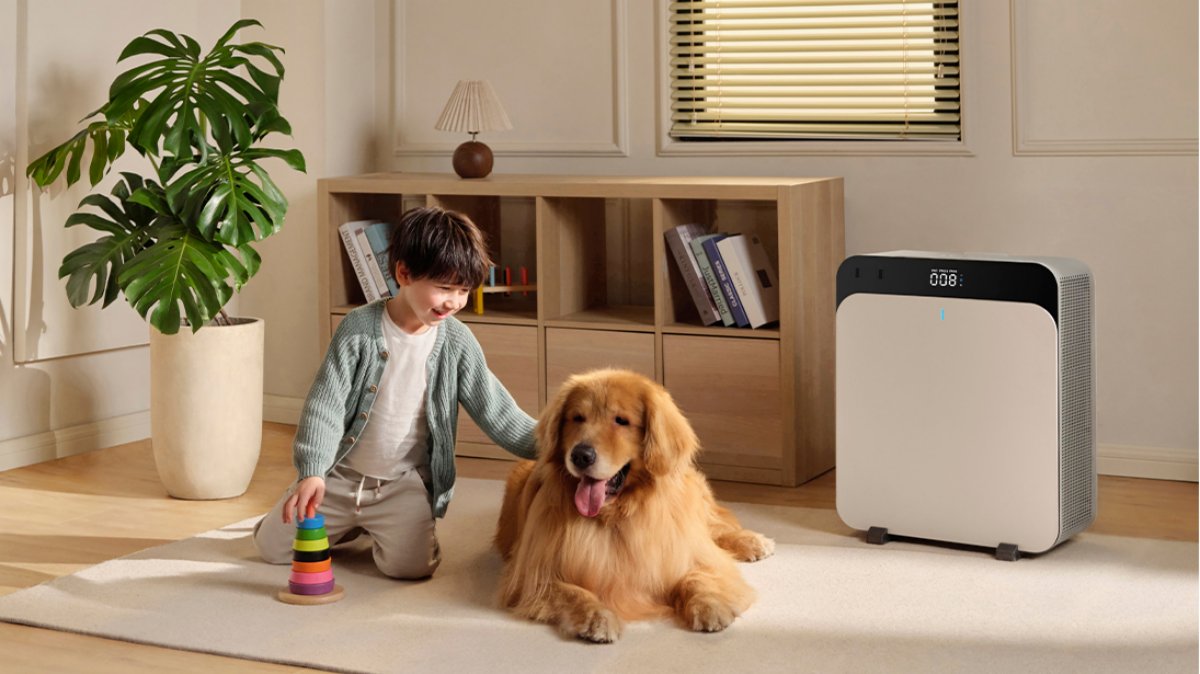 Exclusive Launch | The Air Purifier Every Home in Gangnam Trusts [Blueair Classic Pro]