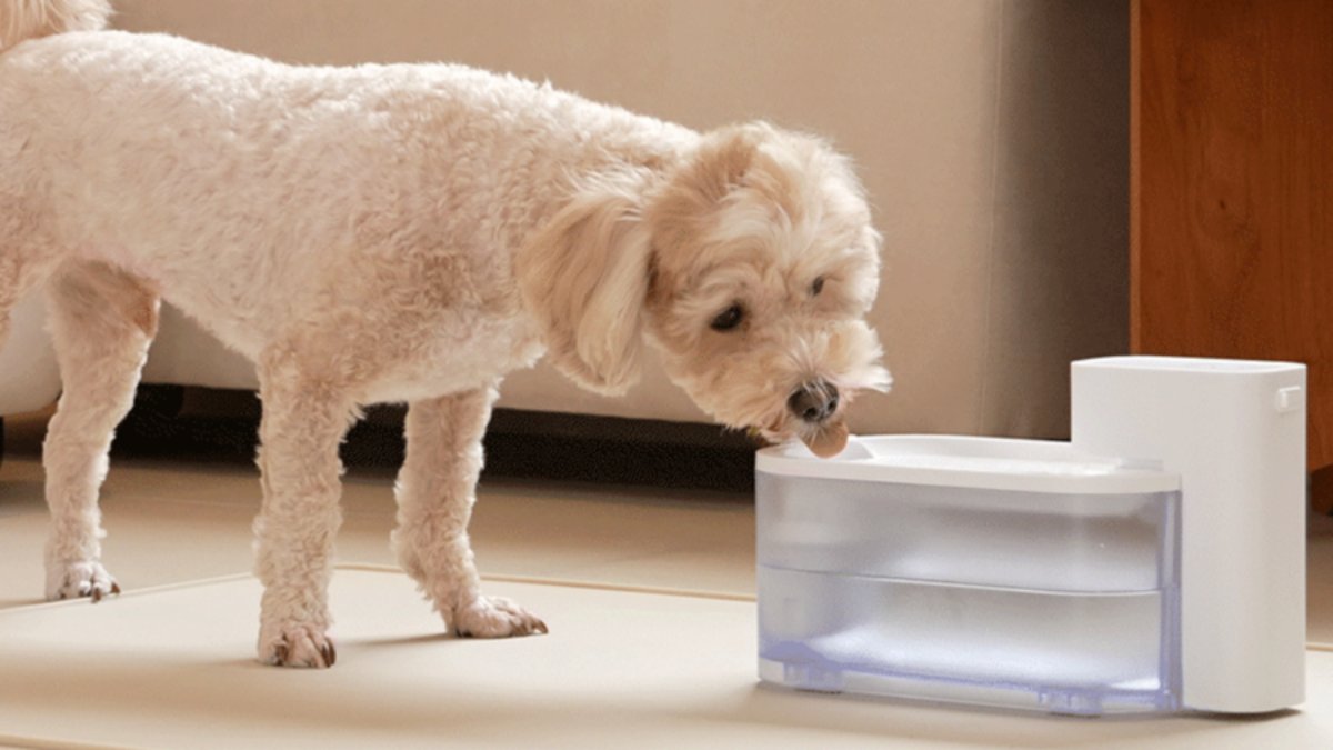 [7重过滤+UV杀菌] 静音无线自动饮水机，敏感宠物也安心