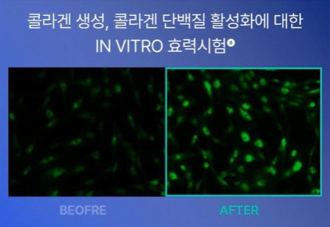 화면 캡처 2025-05-02 102418.jpg