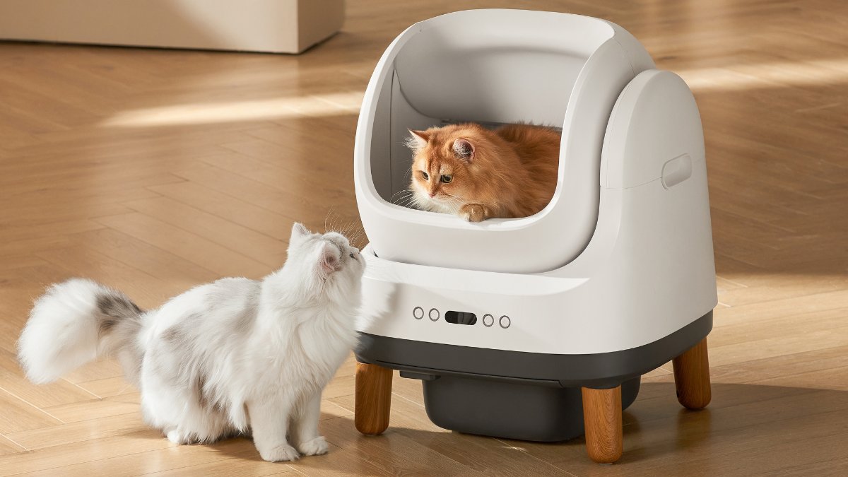 [N品牌猫咪自动猫砂盆第一名] 两年匠心打造，终极新品“莫里”