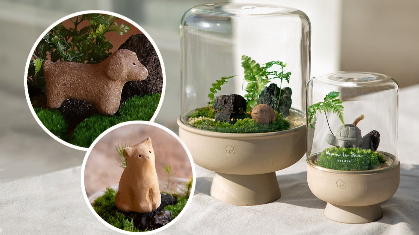 [만족도5.0] “그 무해한 귀여움,  더 정성스럽게 돌아온 명품테라리움