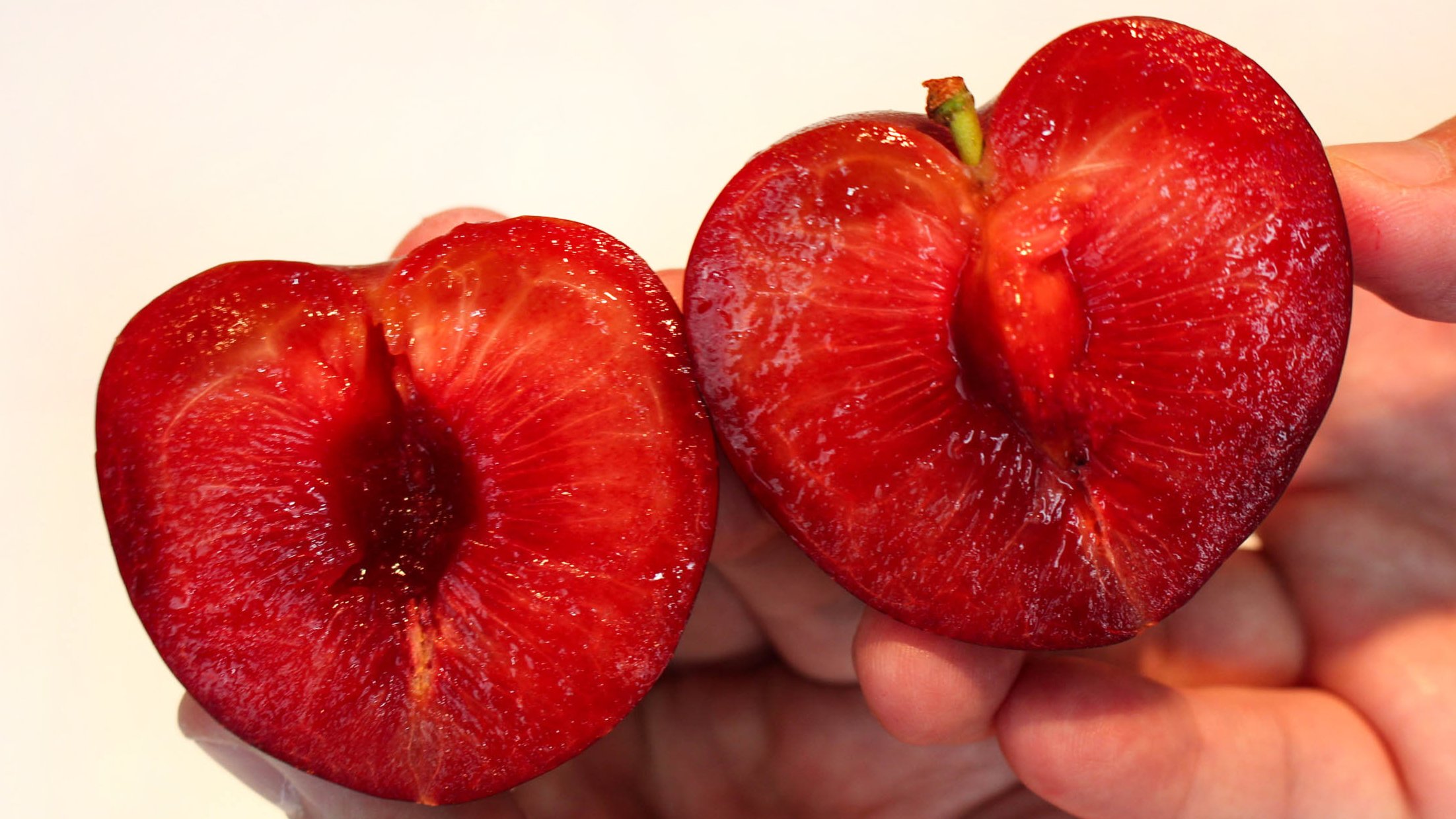 체리+자두ㅣ체리와 자두의 새콤-달콤한 만남, 화제의 과일 체리자두