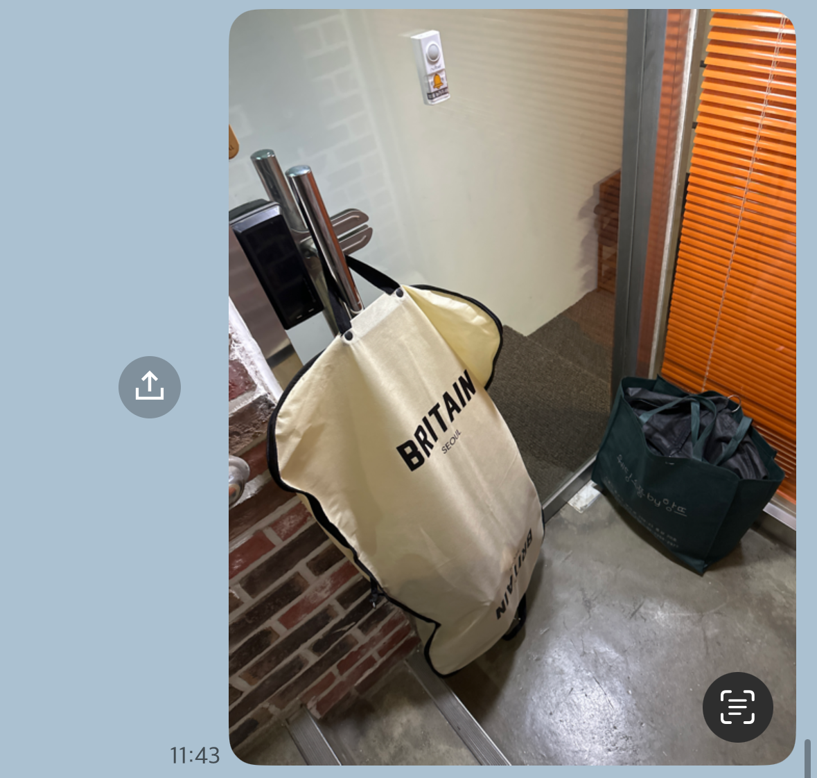 IMG_1653.PNG