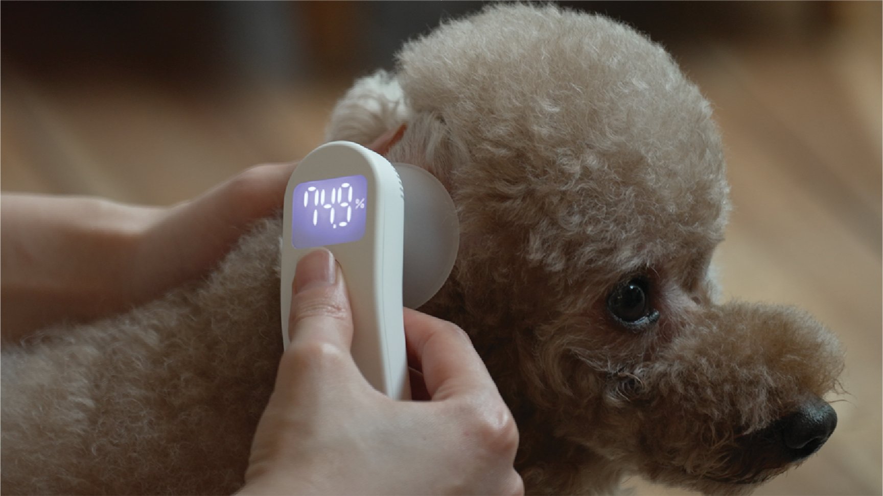 湿ったペットの耳もサッと乾燥！愛犬・愛猫用イヤードライヤー