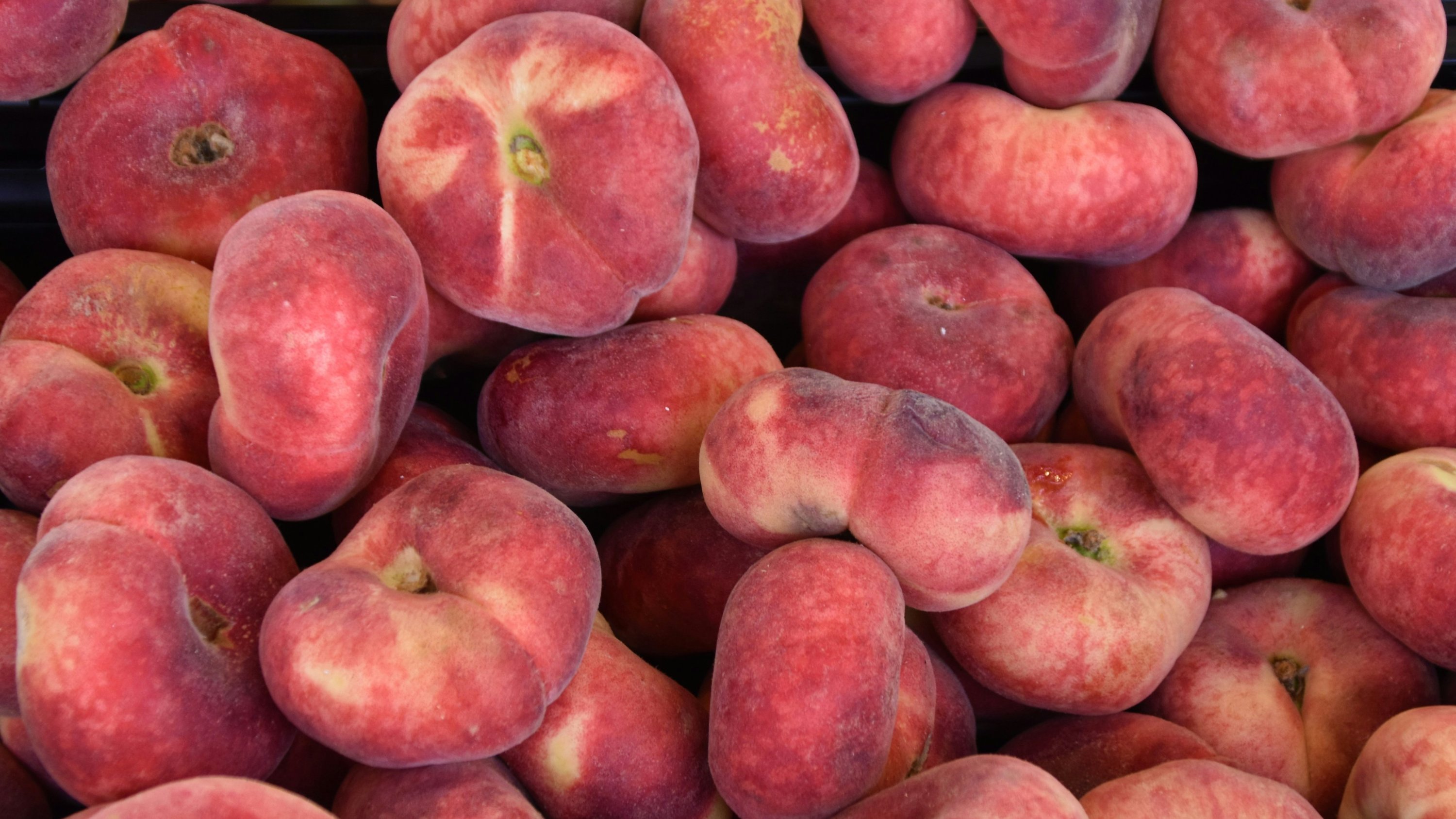 高甜度与弹嫩完美结合，扁桃子至尊，欧洲限定的扁桃子韩国首发！