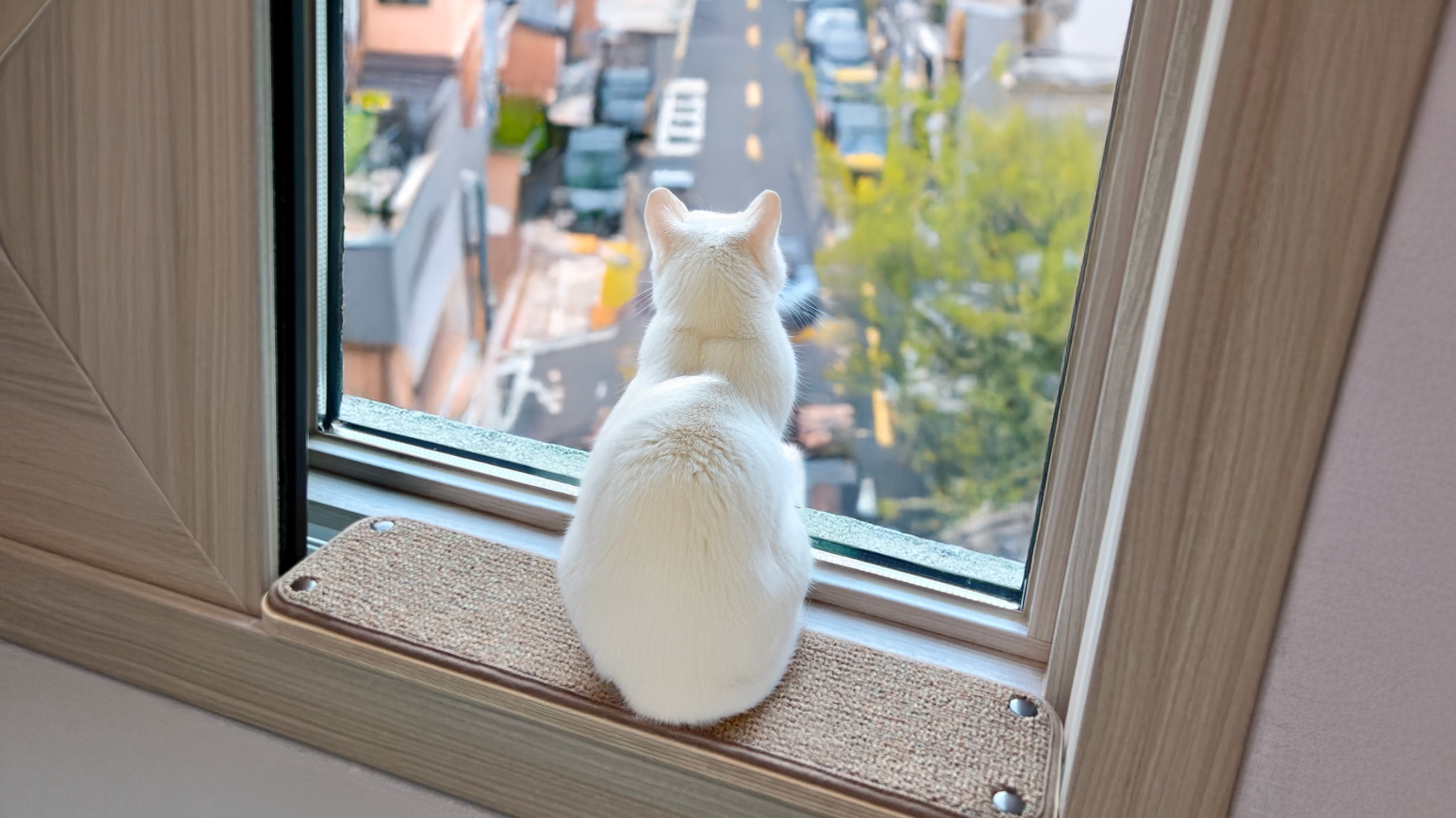 [窗台瞭望台] 新概念简易安装真窗台猫爬架，猫咪的窗边治愈角落
