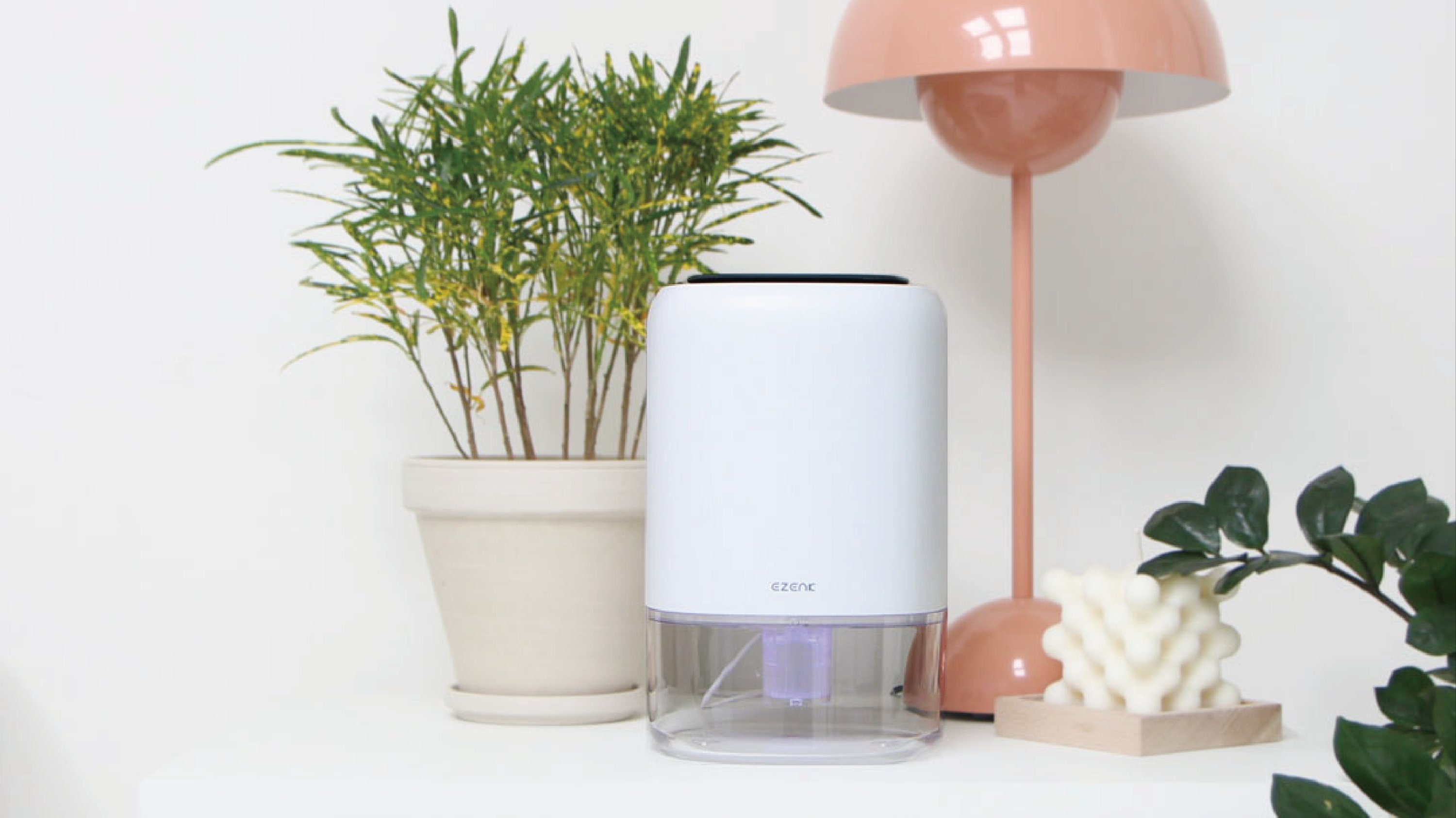 告别潮湿异味 | 一次解决房间除湿！