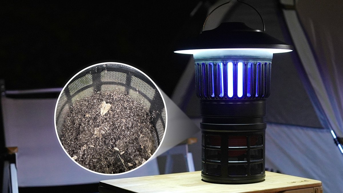 역대급 아웃도어 해충 퇴치기 탄생! 올여름 모기,해충들은 멸종됩니다!