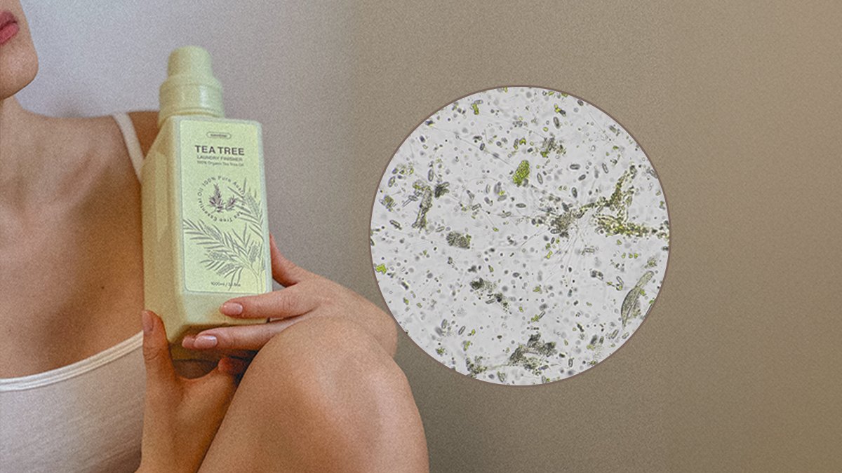 安可│洗衣终结者！仅用天然成分清除残留洗涤剂与细菌的茶树洗衣收尾剂