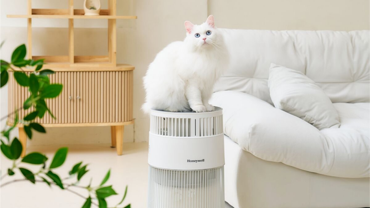 Captures Flying Fur & Eliminates Pet Odors—Wadiz’s Top-Rated Air Purifier