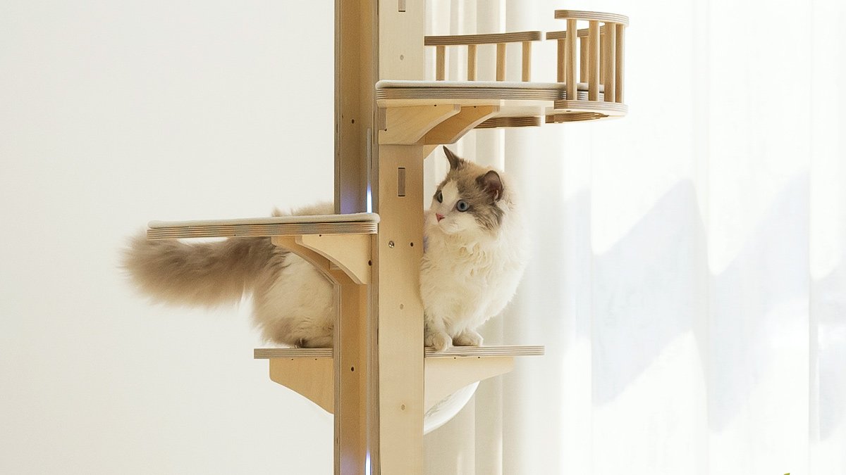 猫爬架革新｜多猫适用140kg承重+猫抓板LED灯+单间高度可调