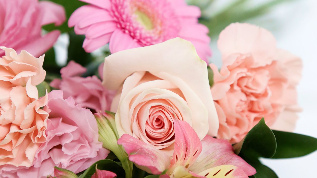 为不会挑礼物的人准备的救星[仅需一万韩元左右的花礼]