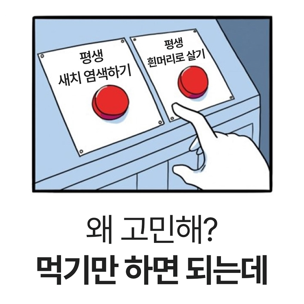 대지 3.jpg