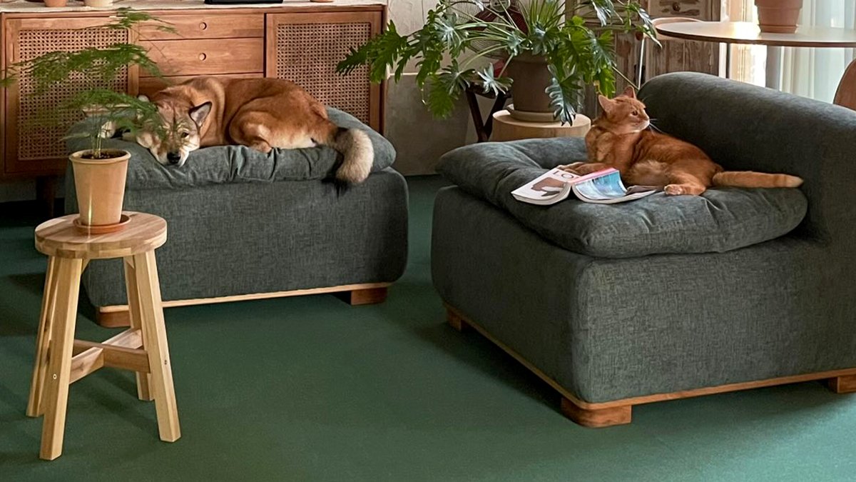 [150年英国直进口] 夏季更舒适的自装豪华地毯砖｜Flotex