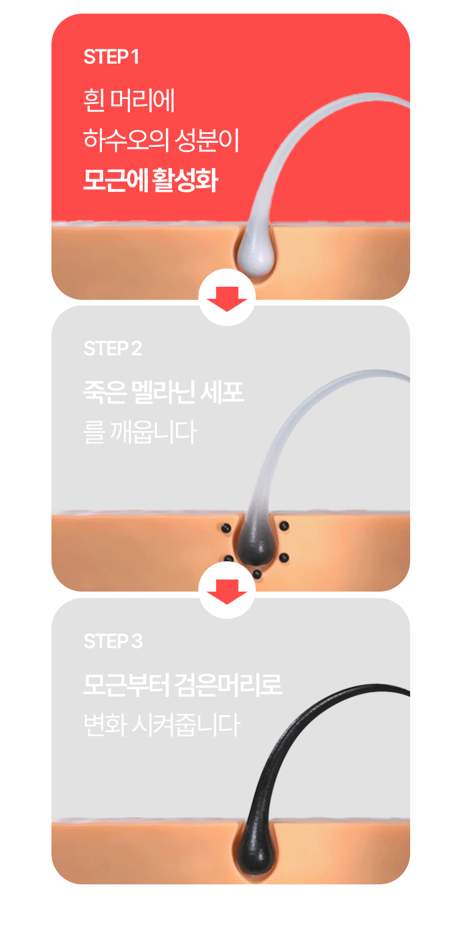 포인트-1_10.gif