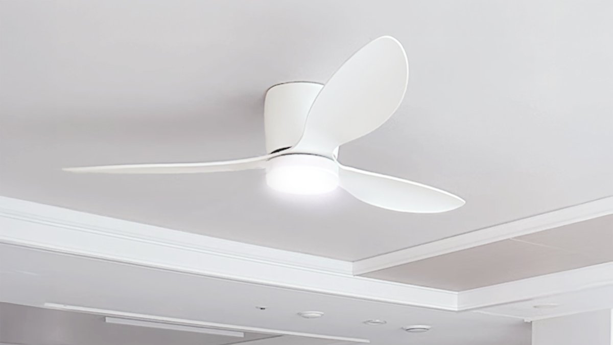 シーリングファン1台で冷暖房費節約＋空気清浄＋除湿効果まで？今夏最後のアンコール