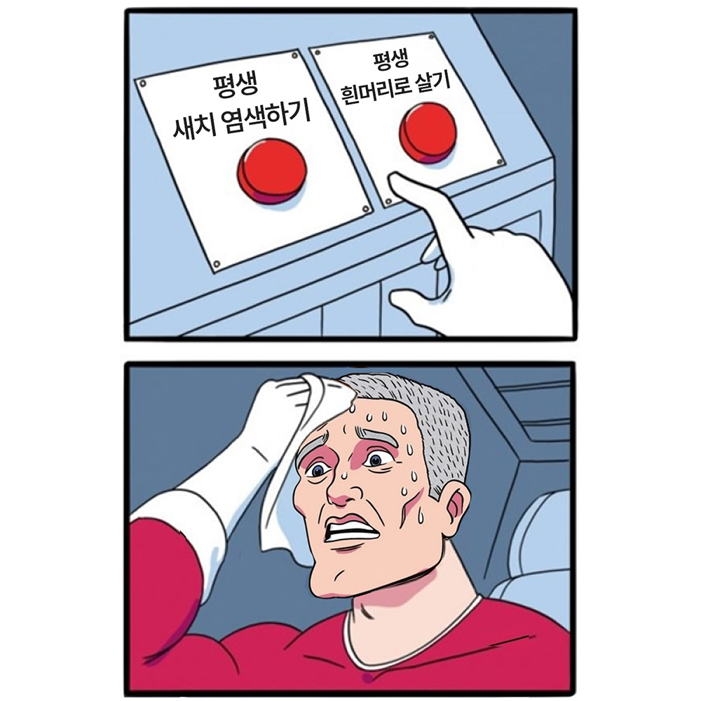 대지 2.jpg
