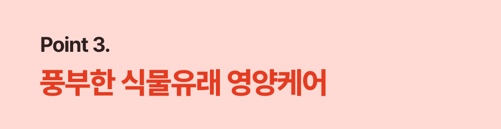 이미지 설명이 없습니다.