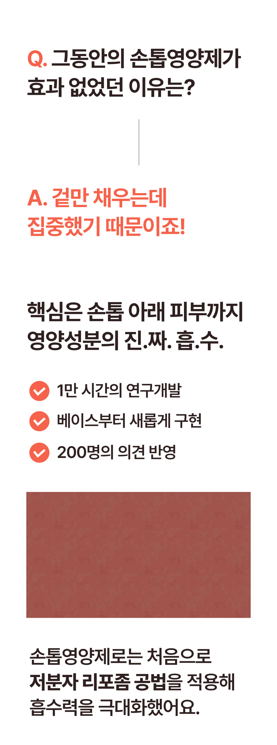 이미지 설명이 없습니다.