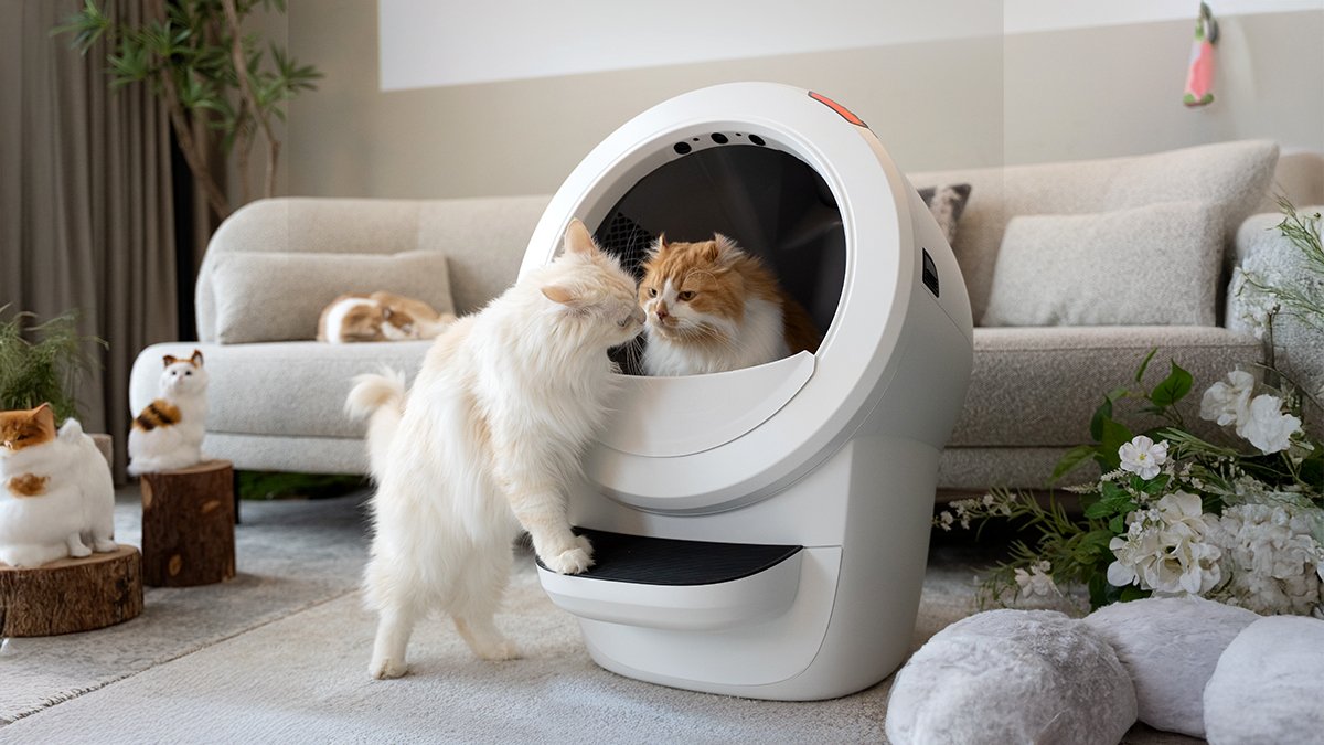 [美国销量冠军 | 三次售罄] 智能猫砂盆Litter Robot 4+Litter Hopper特别加场特卖！