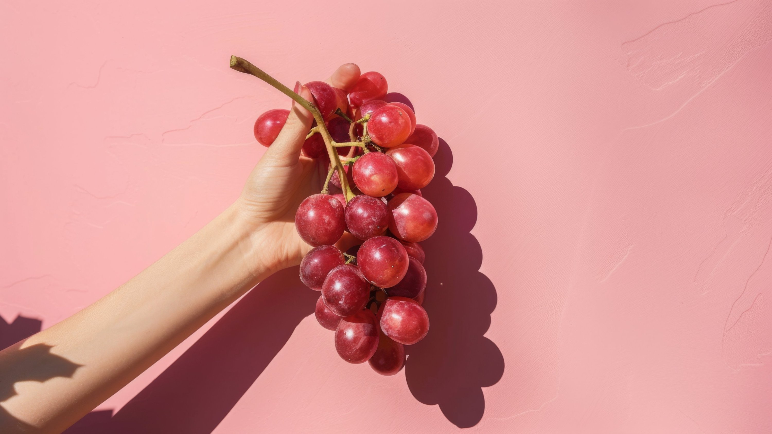 온라인 최초 공개 따끈따끈 신품종포도 레드클라렛의 첫 주인공이 되어보세요