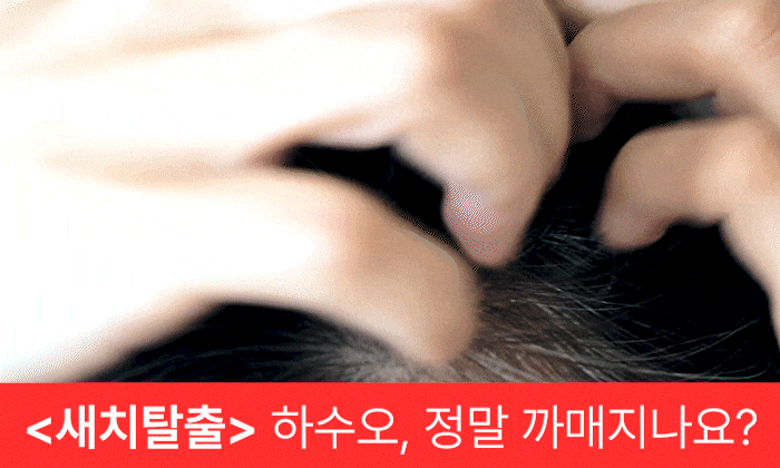 소개img-1 (1).gif