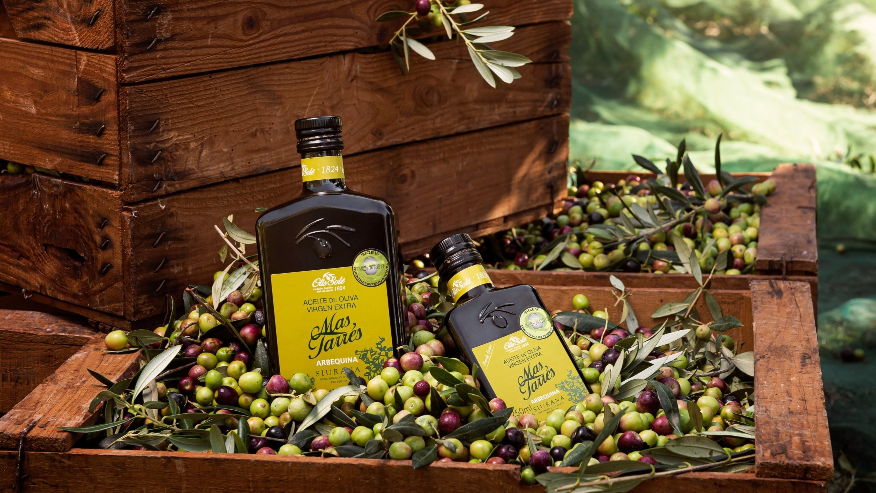 [酸度0.14%] 西班牙200年历史农场的美味单一品种橄榄油