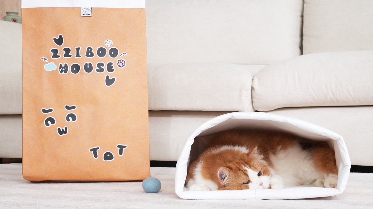 3-in-1 Crinkle Hideaway 🐱 Cozy & Durable Cat Hideaway Made with Tyvek Fabric 🏠