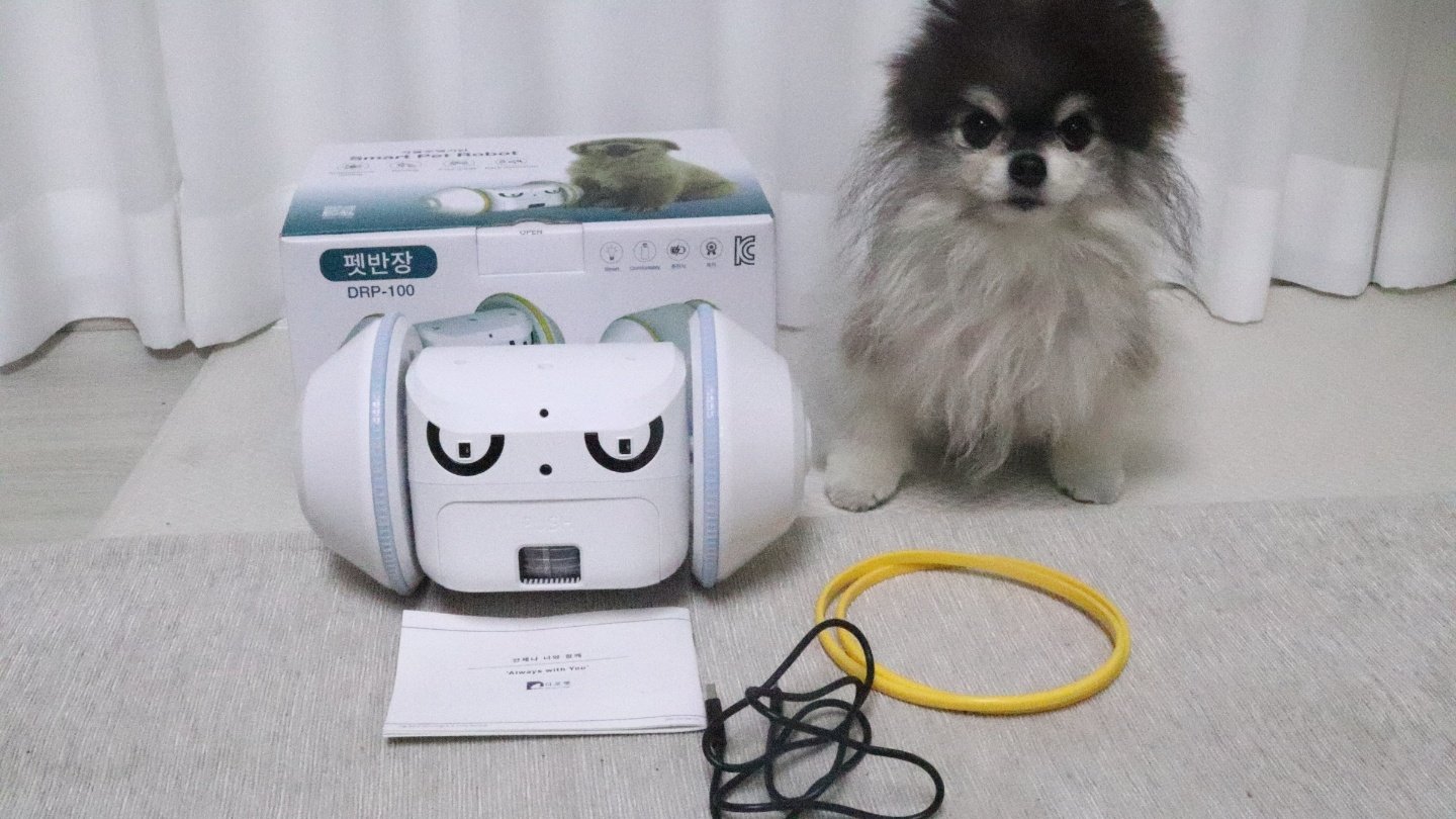 狗狗用珍贵的礼物抚慰孤独的宠物护理机器人伙伴——宠物班长