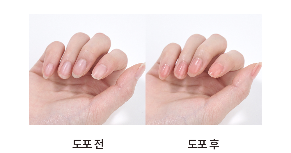 이미지 설명이 없습니다.