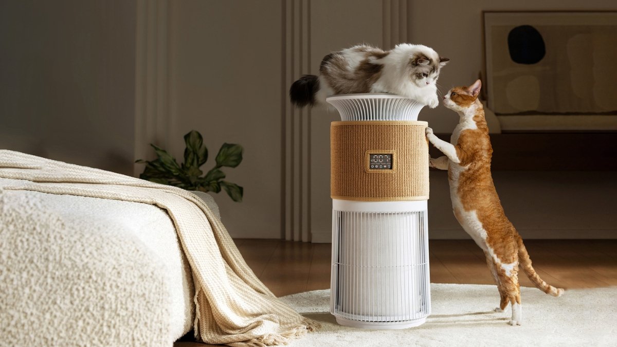 [满意度5.0] 与毛发的战争终于结束！360度无死角彻底捕获！