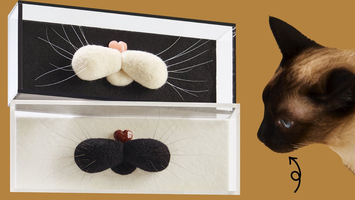 极·度·可·爱ㅣ羊毛毡上戳戳我家猫咪的胡须！  猫咪胡须收纳盒