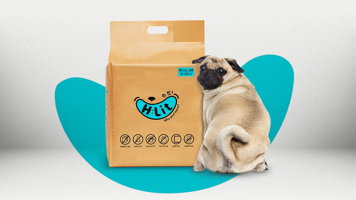 오늘 마감ㅣ오줌 냄새가 안나요! 특수소재로 제작한 견주 구원템 히릿패드!