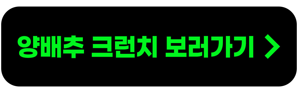 양배추보러가기.jpg