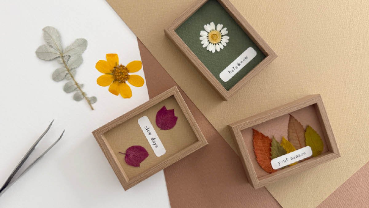 盛满秋意的压花迷你相框
