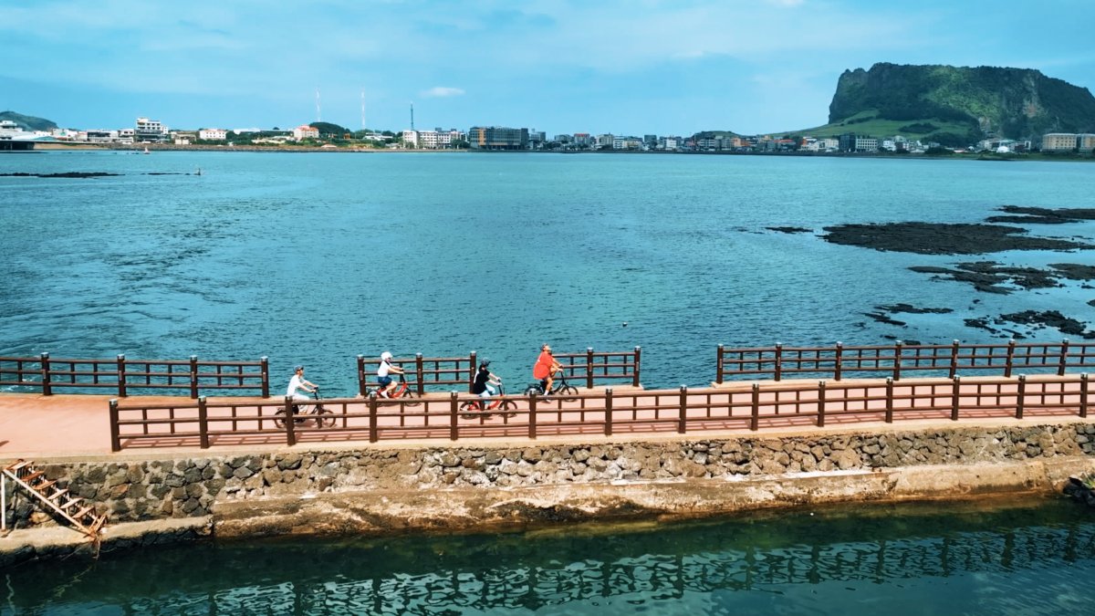 [2025 Wadiz独占公開] 済州ベンガステイ2泊3日ヒーリングキャンプ