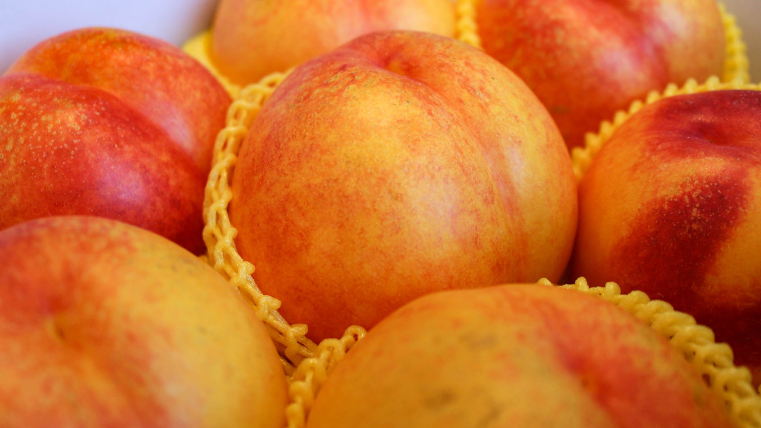 中秋礼物首选的唯一桃子，今年最后的金红天桃