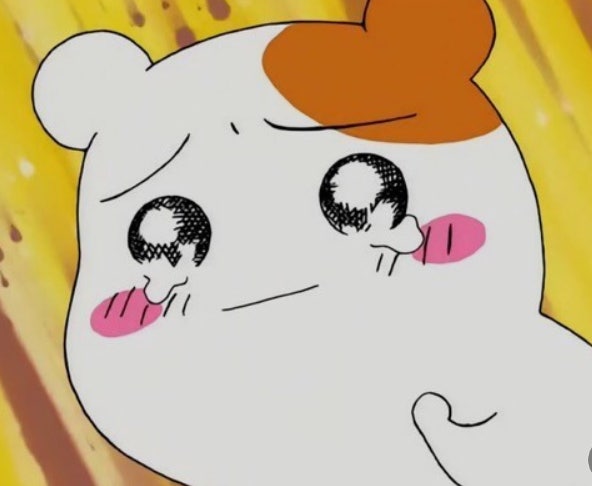 에비츄.jpeg