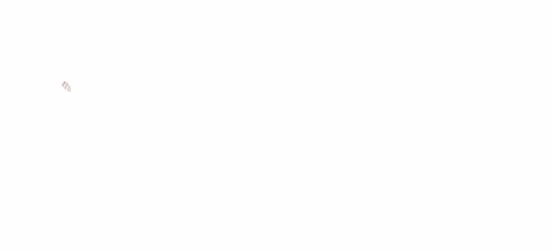 933-ezgif.com-video-to-gif-converter.gif