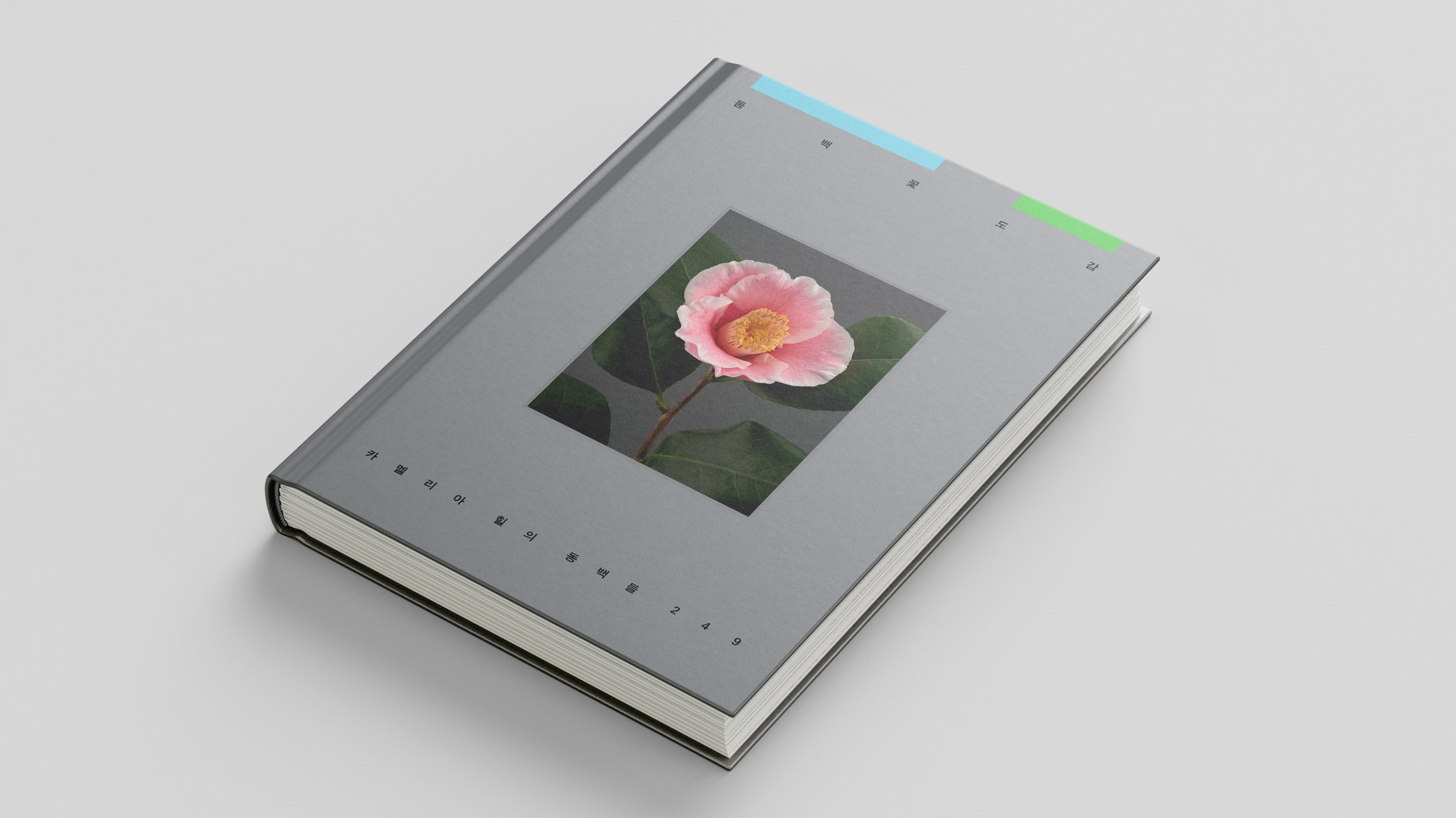 가장 다양한 동백을, 가장 깊게 만나는 『동백꽃 도감』