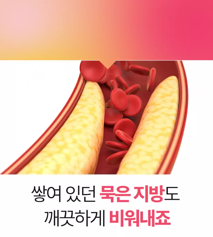 지방 배출 텍스트.webp