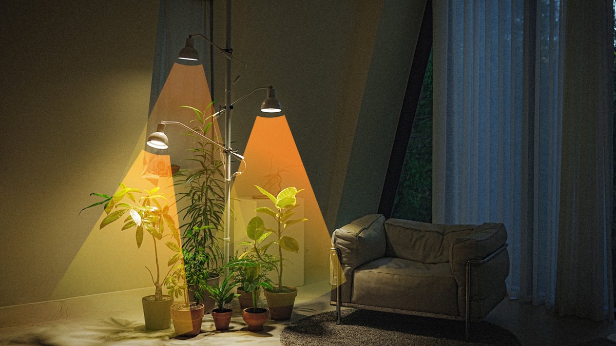 [wadiz榜首植物灯] 请别再让它们枯萎了 我房间里的N个太阳