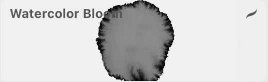IMG_5591 2.jpg