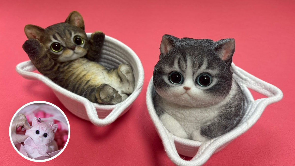 [글로벌 2억뷰ㅣ30억 판매] 영상 속 말랑고양이 드디어 한국에 떴다!