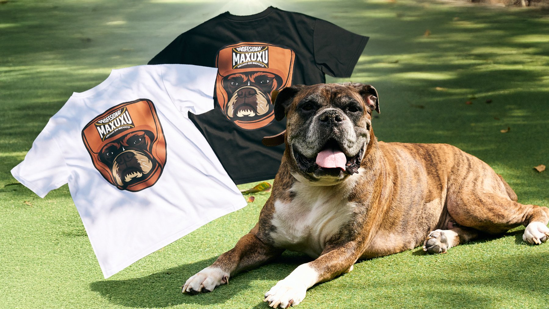 铭记刹那｜回忆编织的苏菲玛棉T恤，露艾瑟拉