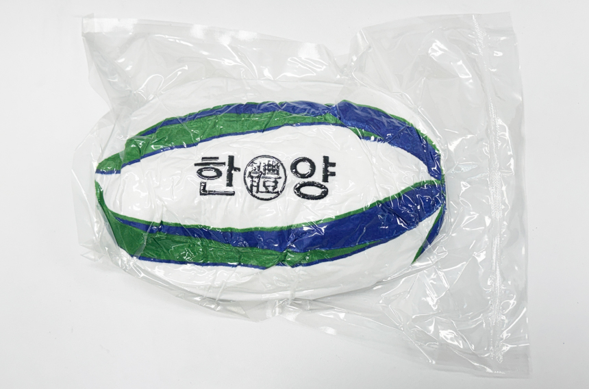 힐링볼공지1.jpg